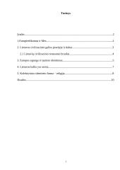 Lietuvos kultūrinis identitetas ir istorija Europos kontekste 2 puslapis