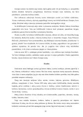 Lietuvos kultūrinis identitetas ir istorija Europos kontekste 11 puslapis