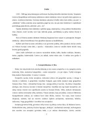 Lietuvos kultūrinis identitetas ir istorija Europos kontekste 3 puslapis