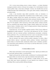Lietuvos kultūrinis identitetas ir istorija Europos kontekste 8 puslapis