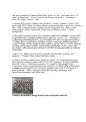 Lietuvos laimėjimai tarpukario metais: švietimas 4 puslapis