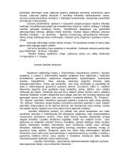 Lietuvos liaudies dailė 6 puslapis
