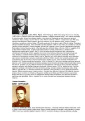 Lietuvos partizanai 3 puslapis