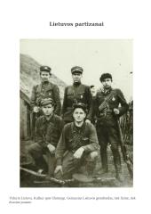 Lietuvos partizanai pokario laikotarpiu 2 puslapis