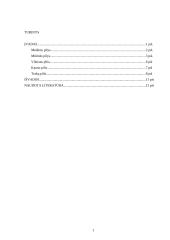 Pagrindinės Lietuvos pilys 2 puslapis