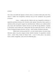 Pagrindinės Lietuvos pilys 3 puslapis