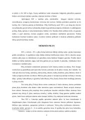 Pagrindinės Lietuvos pilys 5 puslapis