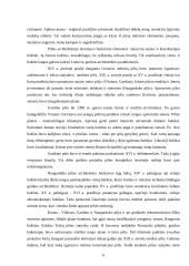 Pagrindinės Lietuvos pilys 7 puslapis