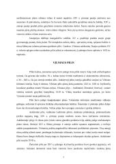 Pagrindinės Lietuvos pilys 8 puslapis