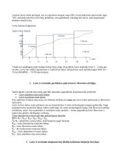 Linijinė laivyba 5 puslapis