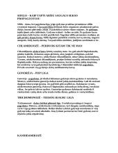 Lytiniu keliu plintančios ligos 9 puslapis