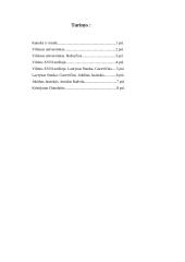 Mano Vilnius 8 puslapis