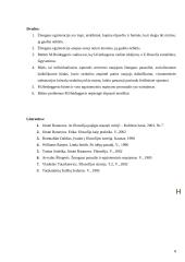 Martinas Heidegeris 8 puslapis