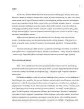 Matmenų matavimo priemonės 3 puslapis
