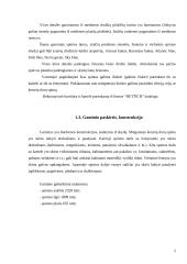 Medienos gaminių konstravimas 3 puslapis