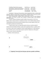 Medienos gaminių konstravimas 7 puslapis