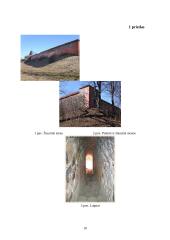 Medininkų pilis 11 puslapis