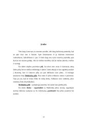 Medininkų pilis 14 puslapis