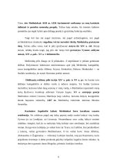 Medininkų pilis 7 puslapis