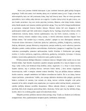 Mergelės poetizavimas piršlybų dainose 2 puslapis