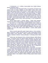 Mesopotamija 2 puslapis