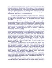 Mesopotamija 4 puslapis