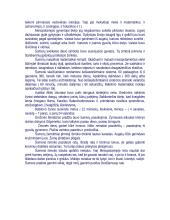 Mesopotamija 6 puslapis