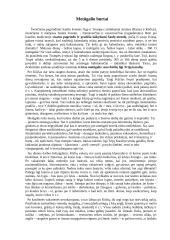 Metūgalio burtai 2 puslapis