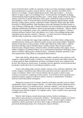 Metūgalio burtai 14 puslapis