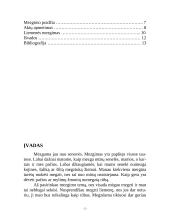Mezgimo raštai 2 puslapis