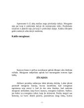 Mezgimo raštai 11 puslapis
