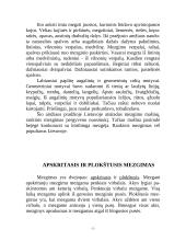 Mezgimo raštai 5 puslapis
