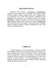 Mezgimo raštai 6 puslapis