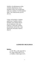 Mezgimo raštai 9 puslapis