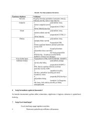 Susipažinimas su Microsoft Excel 11 puslapis