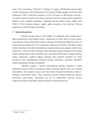 Susipažinimas su Microsoft Excel 13 puslapis