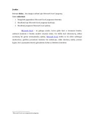 Susipažinimas su Microsoft Excel 3 puslapis