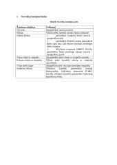 Susipažinimas su Microsoft Excel 10 puslapis