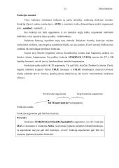 Skaičiavimai ir formulės naudojant Microsoft Excel 13 puslapis