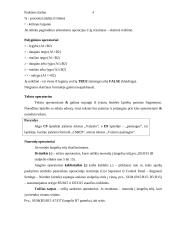 Skaičiavimai ir formulės naudojant Microsoft Excel 4 puslapis