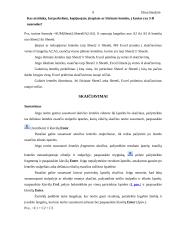 Skaičiavimai ir formulės naudojant Microsoft Excel 9 puslapis