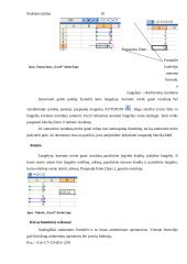 Skaičiavimai ir formulės naudojant Microsoft Excel 10 puslapis