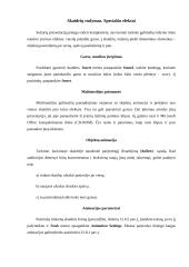 Microsoft Powerpoint - kas tai ir kaip naudotis? 11 puslapis