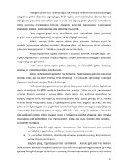 Miestų teritorijų bendrųjų planų rengimas 13 puslapis