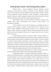 Miestų teritorijų bendrųjų planų rengimas 5 puslapis