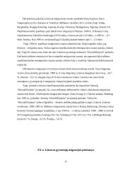 Migracija Lietuvoje XX amžiuje 13 puslapis