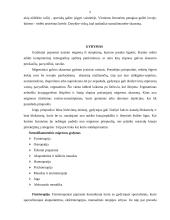 Migrena ir jos gydymas 5 puslapis