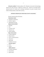 Migrena ir jos gydymas 7 puslapis