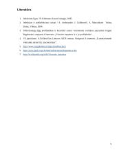 Mikrobiologiniai tyrimai: hepatitas A 8 puslapis