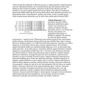 Mikrofonai tinkami BeatBox'ui 2 puslapis